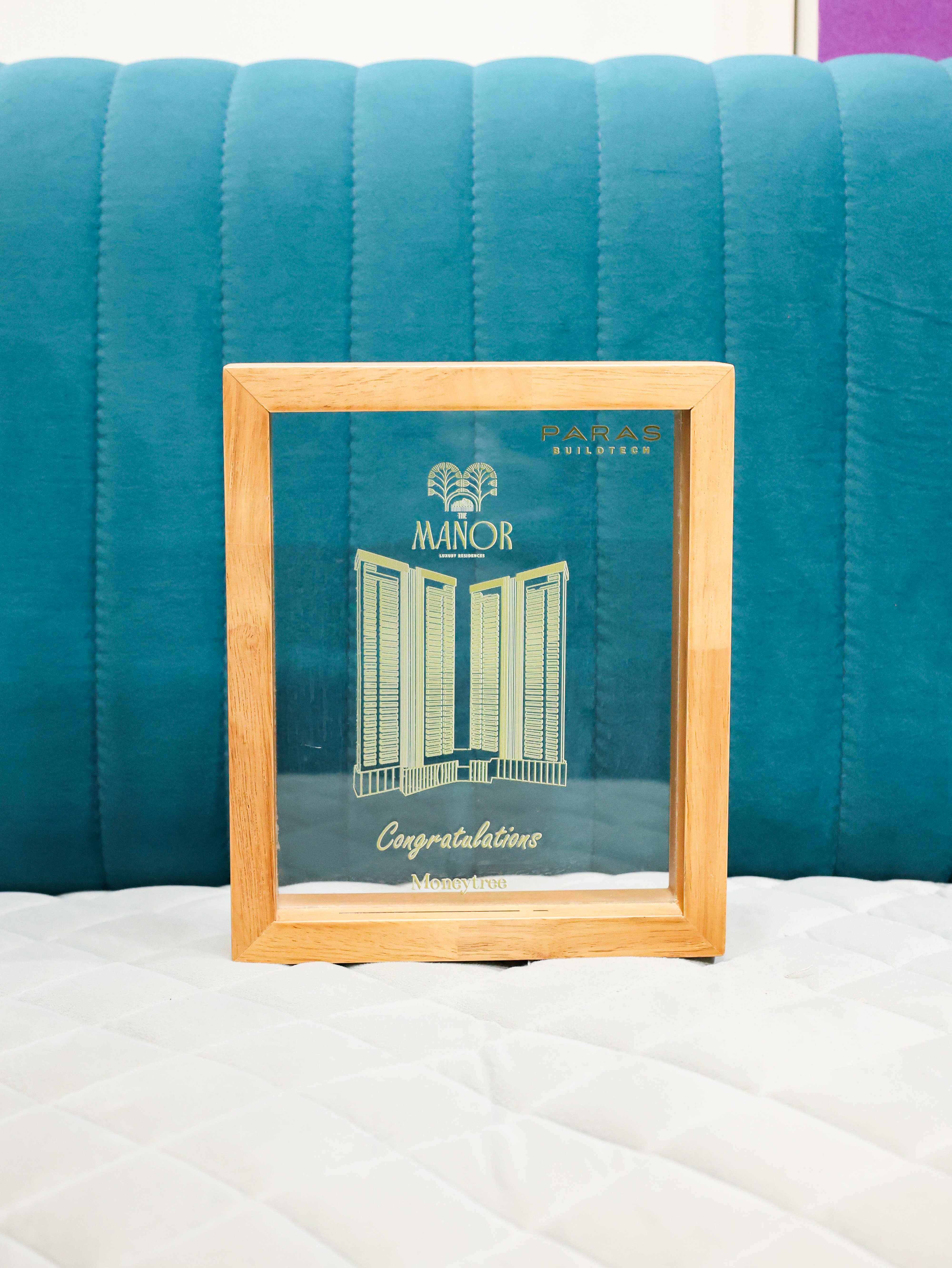 Manor Project Recognition